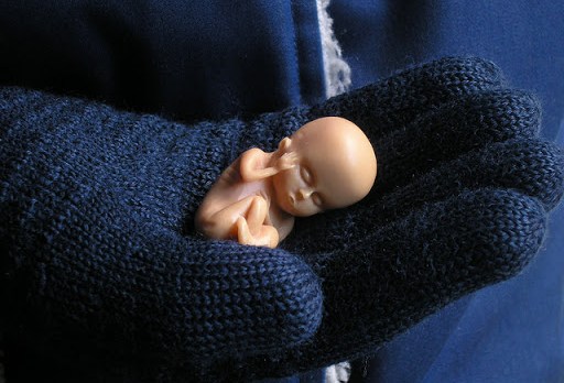 mano sostiene un feto