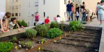 GARDENING