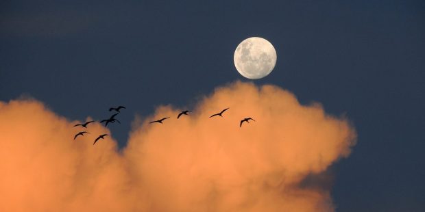 La belleza de la Luna