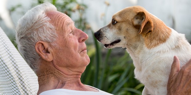 PET