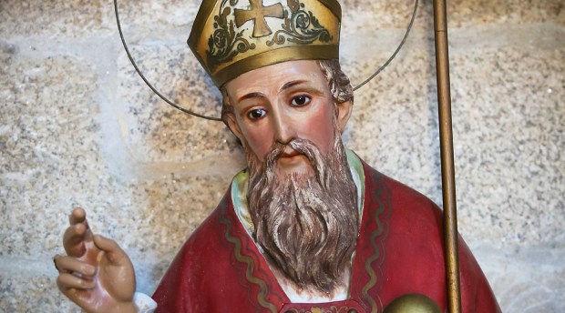 SAN NICOLAS