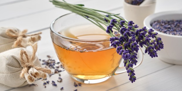 lavender