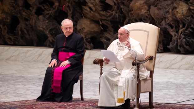 Pope Audience