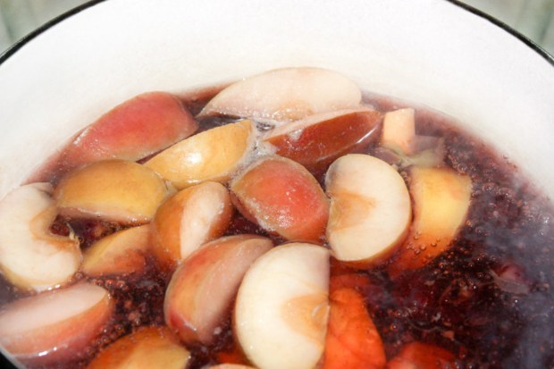 APPLE COMPOTE