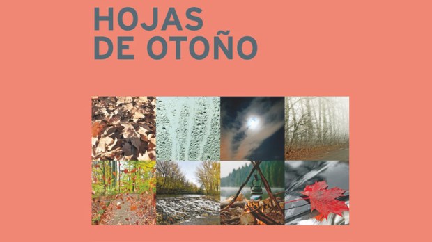 HOJAS DE OTOÑO