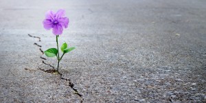 Cuatro consejos para vivir la esperanza durante el Adviento