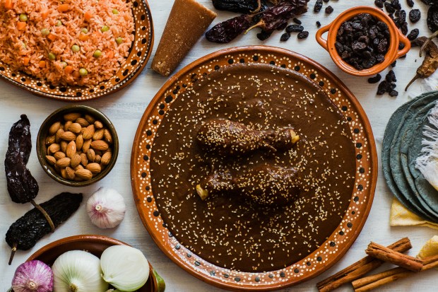 Mole Mexicano, ingredientes mole de Poblano, comida picante mexicana tradicional en México