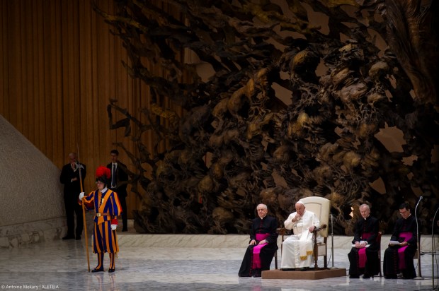 Pope Francis during his weekly general audience in Paul VI Hall at the Vatican.