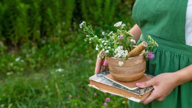 plants