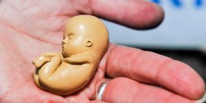 Aborto: ¿cómo ha avanzado tanto en LATAM y qué nos toca hacer?