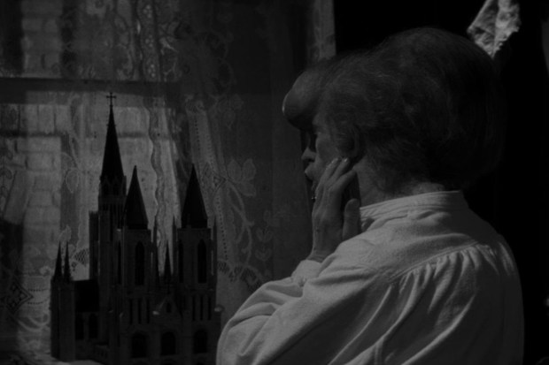 el hombre elefante David Lynch